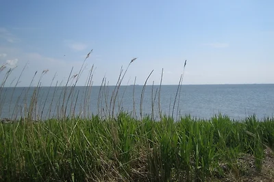 Vakantieappartement Gezinsvakantie Dagebüll