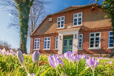 Vakantieappartement Gezinsvakantie Dänschendorf