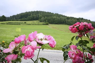 Vakantiehuis Ontspannende vakantie Geiersthal