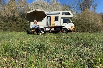 Vakantiehuis Ontspannende vakantie Riepsdorf