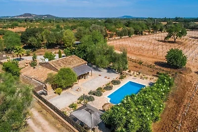 Weinbergsfinca Es Vinyet