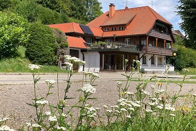 Vakantieappartement Gezinsvakantie Friedenweiler