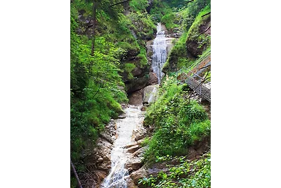 N-Appartement Falkenstein