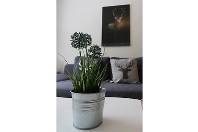 Kurhotel Schluchsee App. 1511 -