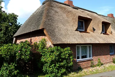 Vakantiehuis Ontspannende vakantie Dagebüll