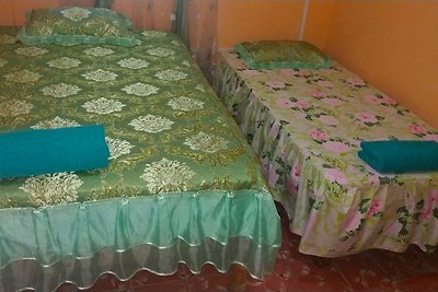 Casamarys de Damarys Machado