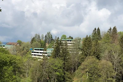 Appartamento Vacanza con famiglia Sankt Andreasberg