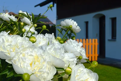 Ferienhaus Antdorfer Gartenglück