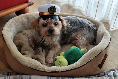 Casa vacanze Vacanza di relax Esens