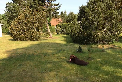 Casa vacanze Vacanza di relax Neu Poserin