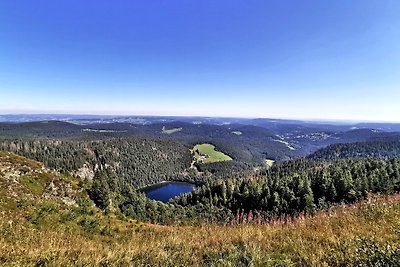 Appartamento Vacanza con famiglia Feldberg