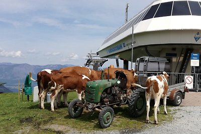 Appartamento Vacanza con famiglia Wildschönau