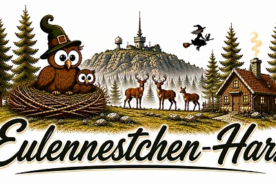Fewo Eulennestchen-Harz S.1 für