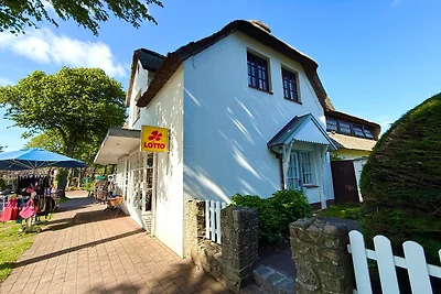 Hansen Nieblum - Whg. 1