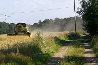 Vakantieappartement Gezinsvakantie Amelinghausen