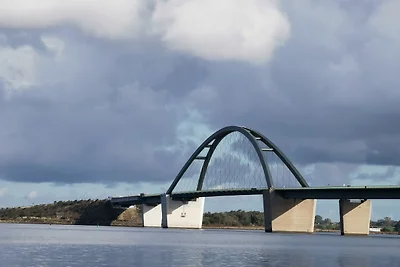 Vier Jahreszeiten I / 50