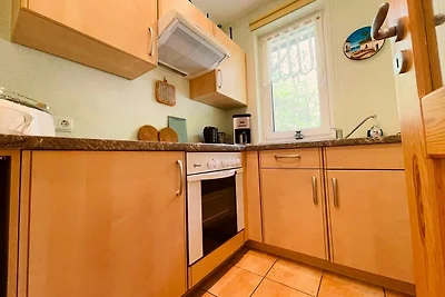 Ferienwohnung Boston Terrier