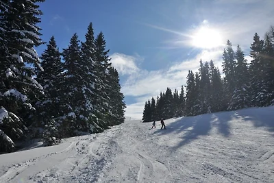 Almrausch-Feriendorf Koralpe