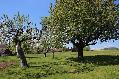 Ferienwohnung Hochwaldblick