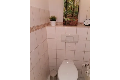 Bocksbergkieker im Ferienpark