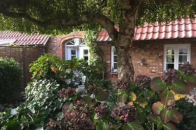 Casa vacanze Vacanza di relax Oevenum