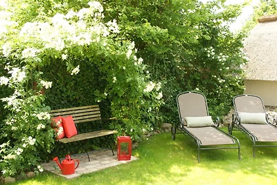 Reethus Sternenkikker inkl.