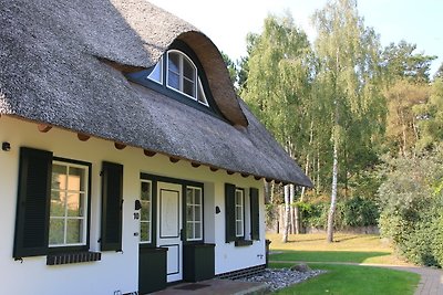 Reetgedecktes Ferienhaus