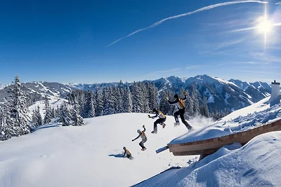 Seig-Hochalm auf 1.600 m - mit