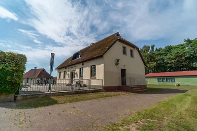 Schwalbennest 3