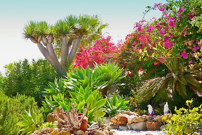 Casa Rosa, Arico Viejo/ La Sabinita