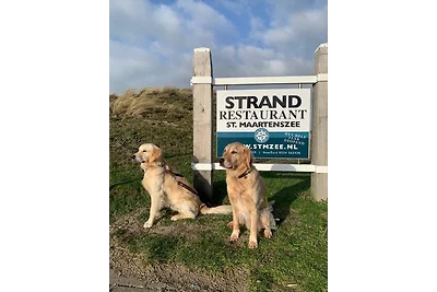 70 qm grosser gepflegter, ruhiger