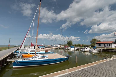 Casa vacanze Vacanza di relax Saal in Vorpommern