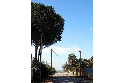 Le Ville di Velia - FeHa A