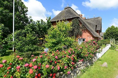 Ferien unterm Reetdach Whg 01