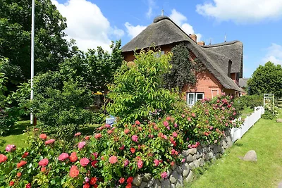 Vakantieappartement Gezinsvakantie Oevenum