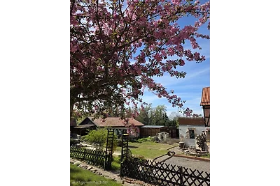 Appartamento Vacanza con famiglia Quedlinburg