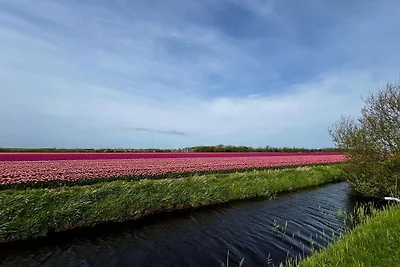 Sehr ruhiges Ferienhaus mit
