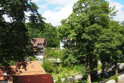 Apartment Harzgrün 1