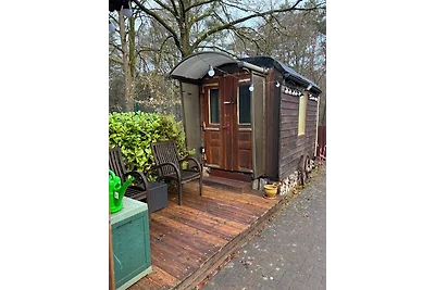 Smart Home Mitten im Wald /