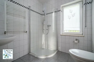 Wald und See Dargun 16b