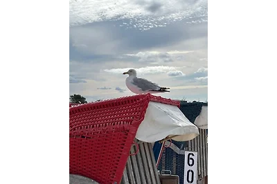 Holiday home relaxing holiday Esens