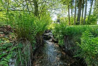 4 Personen mit Sauna (F0H1)