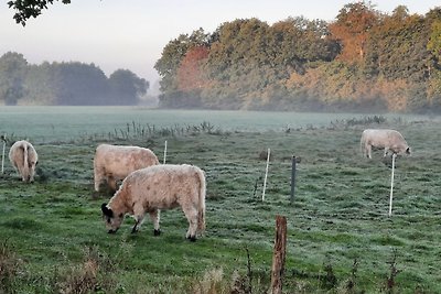 Vakantiehuis Ontspannende vakantie Silberstedt