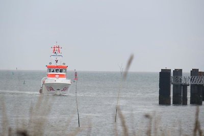 Vakantieappartement Gezinsvakantie Nebel