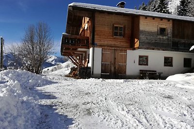 Almhütte Nähe Skigebiet