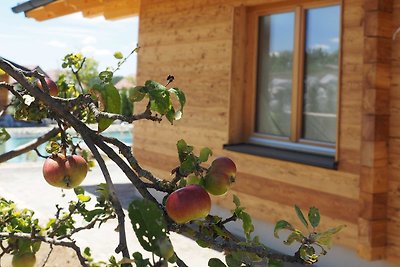 Vakantiehuis Ontspannende vakantie Schiltern bei Langenlois