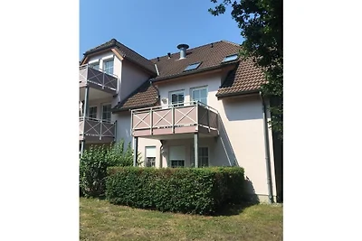 Ferienwohnung Ostseereif 211