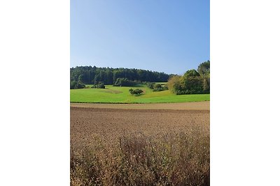 Top Ferienwohnung mit zwei grossen