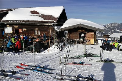 Vakantieappartement Gezinsvakantie Wildschönau