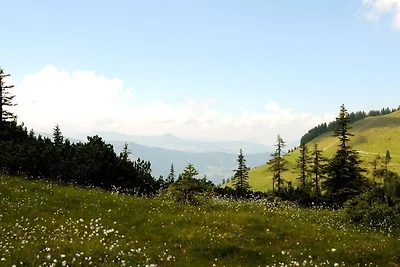 Chalet Brechhorn Landhaus